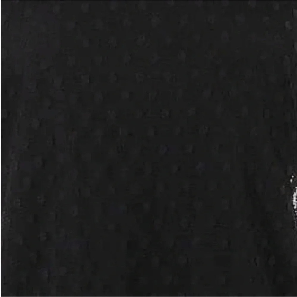 Ann Taylor | Black Sheer Long Sleeves Polkadot Overlay Zip Back Blouse Size M - Picture 3 of 6